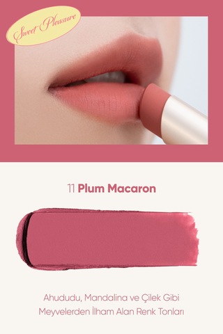 Clio Chiffon Mood Lip 11 Plum Macaron