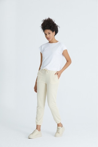 Twenty3 Kadın Basic 2 İplik Likralı Regular Fit Paçası Lastikli Bej