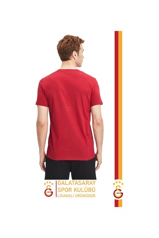 Gsstore Galatasaray Lisanslı Aslan Baskılı Kişiye Özel T-shirt Hediyelik Ahşap Kutulu Kırmızı