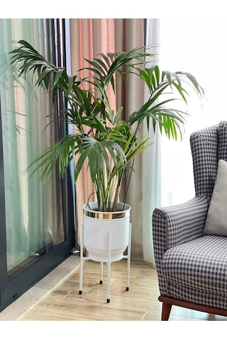 Metal Saksı Ayaklı Çiçeklik Dekoratif Beyaz Saksı Vazo Saksılık 50x30cm