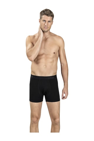 Jiber Erkek Modal Pamuklu Renkli Boxer 321 - 9 Adet 001
