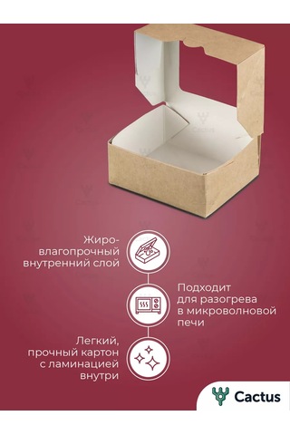 Cactus Karton Dolgulu Kendi Kendine Monte Edilen Hediye Kutusu 209739737