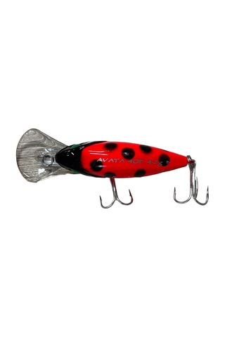 Sea Horse Avata Gl-lady Bettle