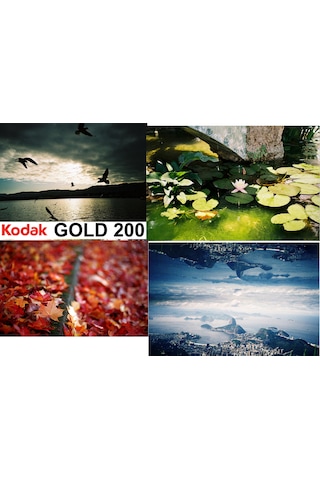 Fotoğraf Filmi Kodak Gold 200 35mm Analog Film 36 Poz
