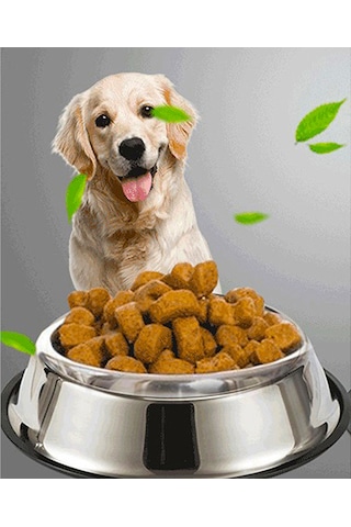 Microcase Kedi Köpek Metal Mama ve Su Kabı AL3118 22 CM 2 x 500 ML