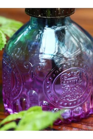 Şık Tasarımlı Ev Bahçe Saksı Çiçeklerine Özel Cam Bitki Sulama Fıskiyesi Kolonya Şişesi 200 Ml Mor