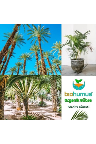 Biohumus Palmiye İçin, Organik Gübre, Organik Sertifikalı, Kök Geliştirici, Toprak Düzenleyici, Bitki Besleyici 25 Kg 1 Diğer