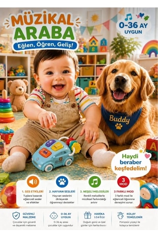 Müzikal Arabam Renkli Pilli Eğitici Ve Eğlenceli Bebek Aktivite Oyuncağı Çok Renkli