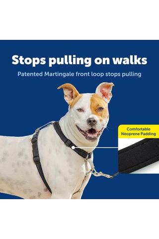 Petsafe The Makers Of The Easy Walk Harness, 3'ü 1 Arada Koşum Kayışı, Tamamen Ayarlanabilir, Çekmez Köpek Koşumu, Orta Boy Siyah
