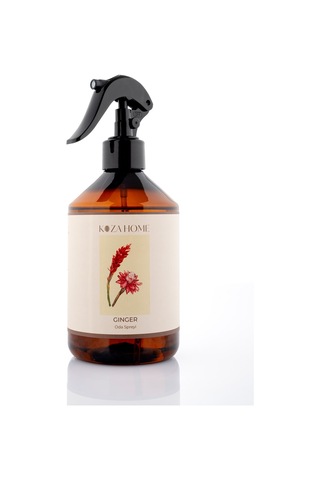 Ginger Oda Spreyi 500 Ml 2046 Fresh
