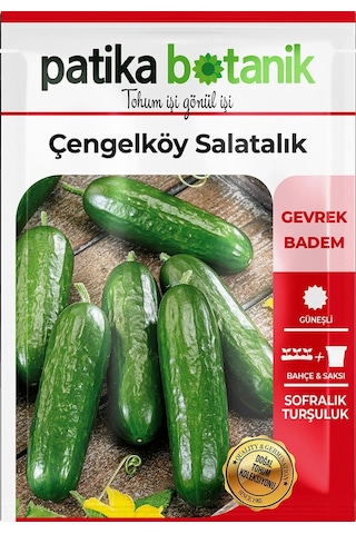 120 Adet Yerli Ata Çengelköy Salatalık Tohumu