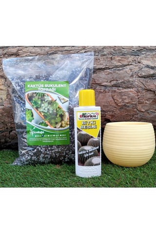 Tropikal Kaktüs Besini 225 Ml Sıvı Gübre + 3 Lt Toprağı + 0,55 Lt Sarı Saksısı 3'lü Set