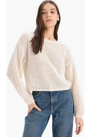 DeFacto Regular Fit Bisiklet Yaka Kroşe Triko Kazak T4513AZ25SPER223 Ekru