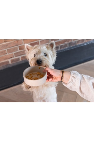 Beeztees Dbl Köpek Mama Su Kabı, Bambu, Bej, 12cm, 300ml