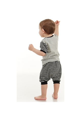 Denokids Rakun Erkek Bebek T-shirt Kısa Pantolon Takım Gri