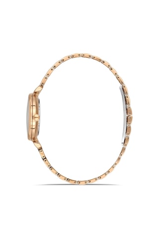 Momentus Ss390t-02sr Kadın Kol Saati Gri