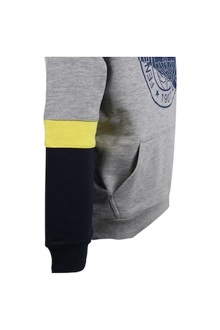 Fenerium Fenerbahçe Çocuk Trıbun Renk Bloklu Sweat Gri