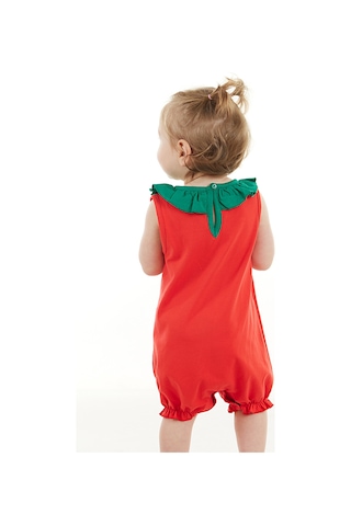 Denokids Tatlı Çilek Kız Bebek Pamuklu Yazlık Tulum Çok Renkli