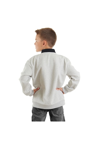 Denokids Mshb&g Kurt Erkek Çocuk Sweatshirt - Gri