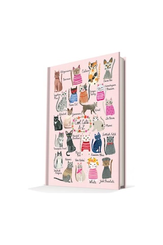 Deffter Summer Cats Cool Cats 14x20 Çizgili Defter