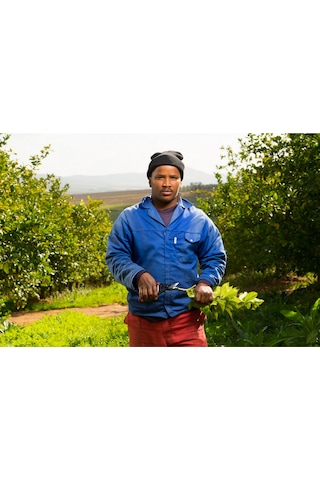 Felco 5 Budama Makası - 110238 Sağ By-Pass