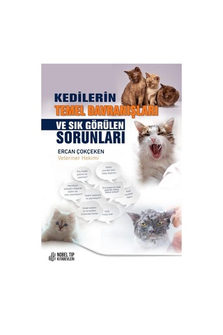 Kedilerin Temel Davranışları Ve Sık Görülen Sorunlar
