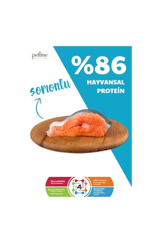 Petline Pretty Puppy Somonlu Yavru Kuru Köpek Maması Tüm Irklar İçin 3 KG