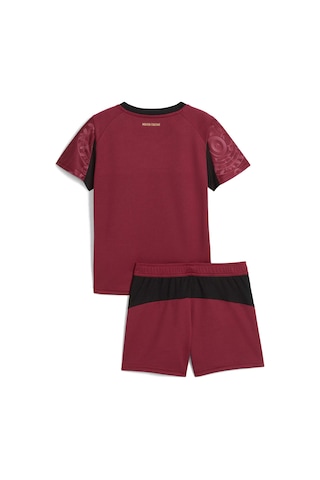 Puma Galatasaray 25/26 Çocuk Alternatif Forma Seti 779833 03 Kırmızı