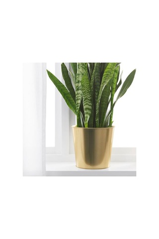 Ikea Daıdaı Çelik Saksı, Pirinç Rengi 04374818