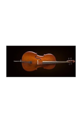 Valencia Ce160g34 Cello German Style 3/4