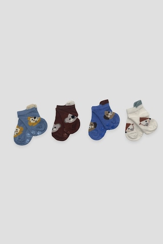 Defne Baby Erkek Bebek Ve Çocuk Hayvan Figürlü Premium Pamuklu Kaydırmaz Tabanlı Patik Çorap Seti Çok Renkli