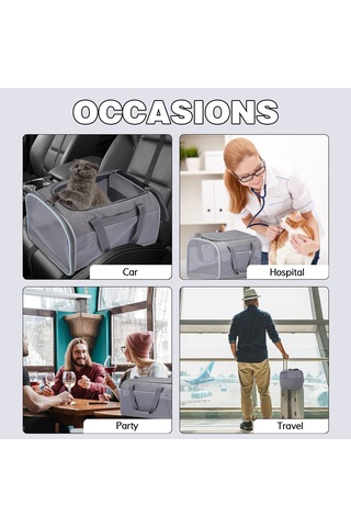 Samdoo Küçük Evcil Hayvan Taşıma Çantası - Nefes Alıcı Mesh - Çoklu Taşıma Seçeneği - Katlanabilir - Araba Tekerleği Güvenliği - Pembe 15kg Yük