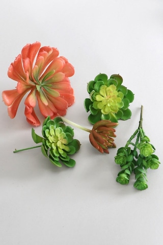Yapay Succulent Sukulent Set - 5
