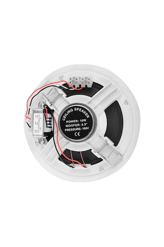 Ssp Audio Cell 108 8" Geniş Bant Tavan Hoparlörü