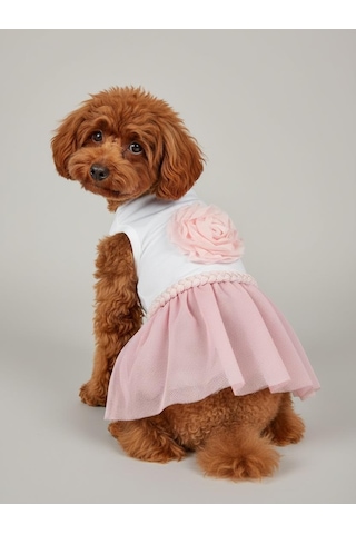 Rosie Pink Tütü Köpek Kıyafeti Pembetütülü Elbise Küçük Irk Köpekler İçin