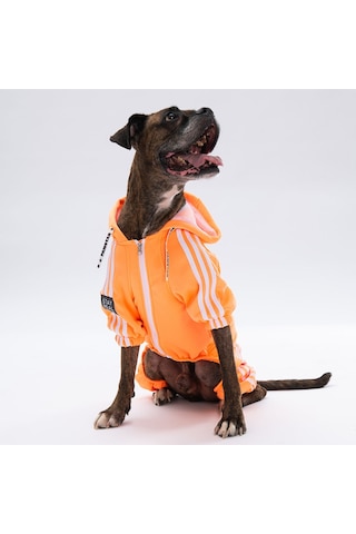 Pawstar Turuncu Tuta Orta ve Büyük Irk Köpek Tulumu Köpek Kıyafeti