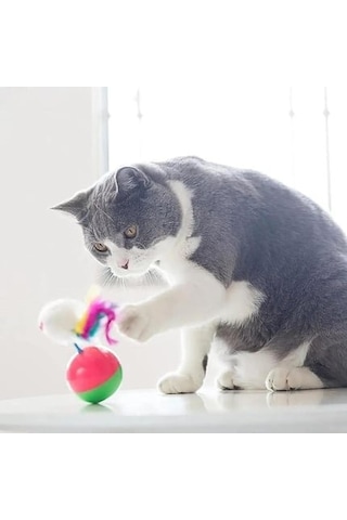 Nunbell Kedi Oyuncak Hacı Yatmaz Fare