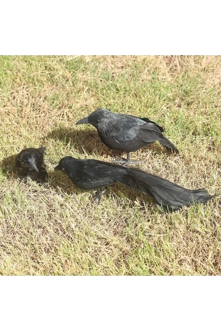 Xianwen Geeroyoo 3 Adet El Yapımı Siyah Tüylü Karga Süsü -
