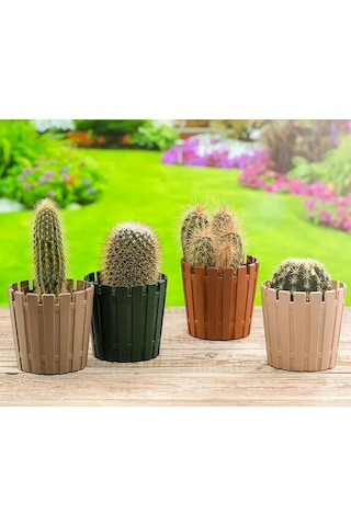 Kaktüs Saksı - Poliwork Çit Desenli Akasya Saksı