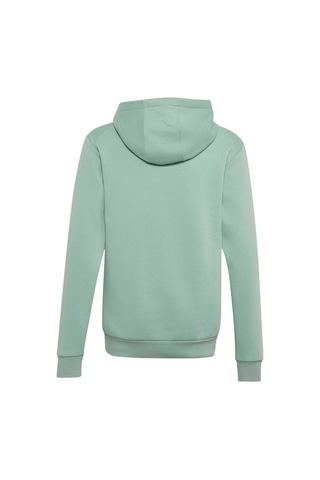 Adidas Çocuk Sweatshirt Adidas Minecraft Terrex Hoodie Kv6480 Yeşil