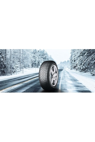 Dayton 205/55R16 91H DW510E Kış Lastiği 2025