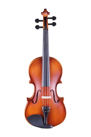 Rosa 4/4 Keman - Mat Cilalı (Rv044M)
