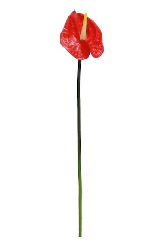 Yapay Antoryum Çiçeği Canlı Dokunuş Kırmızı 40 Cm-9974