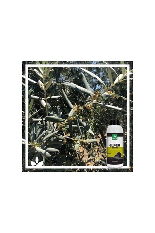 Elfer Zeytin | Zeytine Özel Mikro Bitki Besin Karişimi 1 Litre