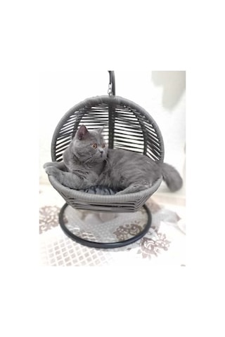Kedi Salıncağı & Kedi Yatağı Sabitleme Aparatlı