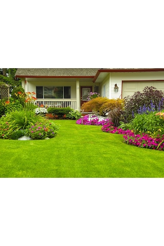 Genta Çim Tohumu 4'Lü Karışım 10 KG