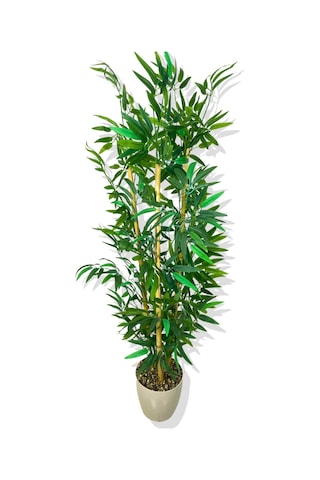 Cihan Çiçekçilik Yapay Yapraklı Bambu Ağacı 3 Bambu'lu 140 Cm Beyaz- Yeşil