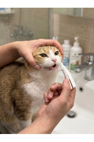 Parmak Tipi Evcil Hayvan Diş Fırçası - Kedi Köpek Diş Fırçalama Aparatı