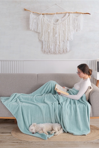 Amor Wellsoft Tv Battaniyesi 150x200cm Peluş Polar Yumuşak