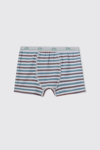Panço Erkek Çocuk 3'lü Boxer Set 2612bk14004 Renkli